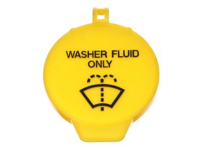 Cap Washer Reservoir