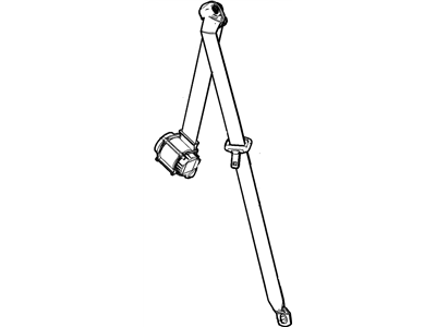 Belt Kit