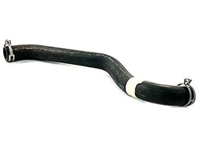 Hose Assy