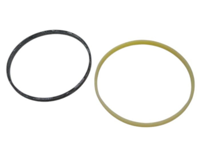 New OEM Genuine AGCO Piston Seal, Part # 402318X1