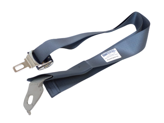 New OEM 1997 Buick Park Avenue Front Seat Belt Anchor Blue, Part # 12533385