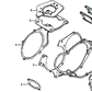 Gasket, Cylinder Head