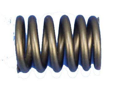 Spring Intake Valve