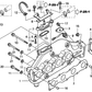 Holder, Harness