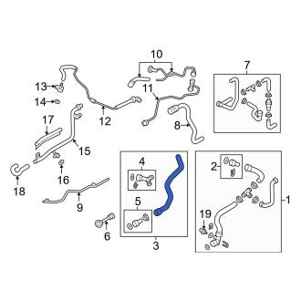 New OEM Genuine Audi, Upper Radiator Coolant Hose - Part # 8W0122101BH