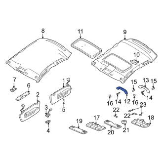 New OEM Genuine Audi, Front Interior Grab Bar - Part # 8D0857607F2EQ