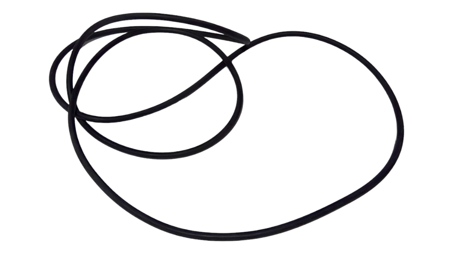 New OEM Genuine CNHi, Seal Ring - Part # 8900134381