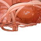 New OEM Genuine CNHi, Transmission - Part # 89500433730