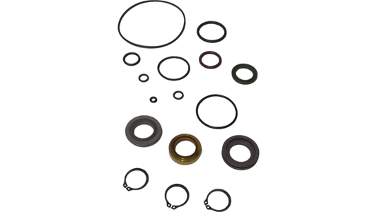 New OEM Genuine CNHi, Kit Seals - Part # BN2397631-006