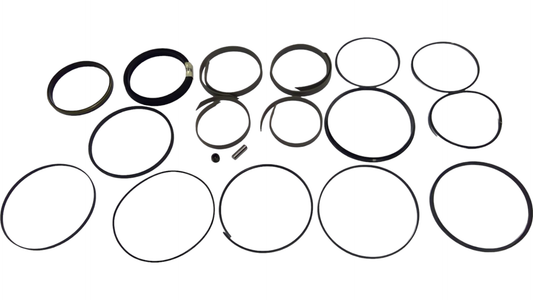 New OEM Genuine CNHi, Package Seals - Part # P5649661