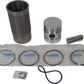 New OEM Genuine CNHi, Kit Piston & Rings - Part # 3044479R94GV