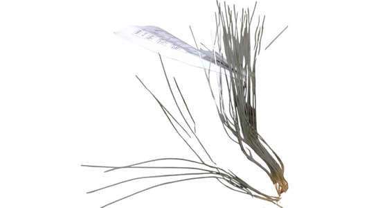 New OEM Genuine CNHi, Filter Element - Part # 418481A1