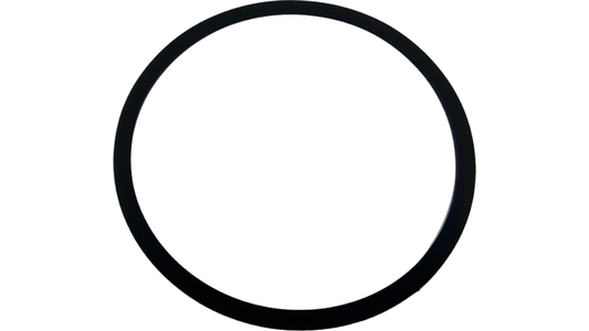 New OEM Genuine CNHi, Ring - Part # D66414