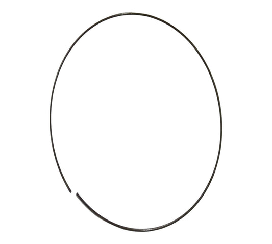 New OEM Genuine CNHi, Ring Wear - Part # 2418T5743