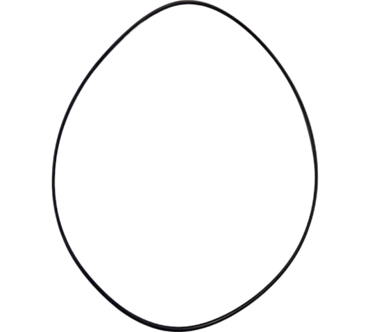 New OEM Genuine CNHi, O Ring - Part # 2438U1174S19