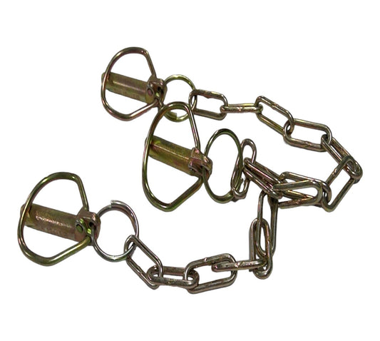 New OEM Genuine CNHi, Chain Agriculture - Part # 299842A1