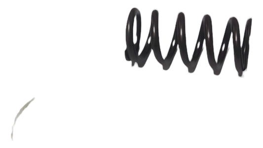 New OEM Genuine CNHi, Spring - Part # LG00486