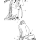 Cover Seat Anchor