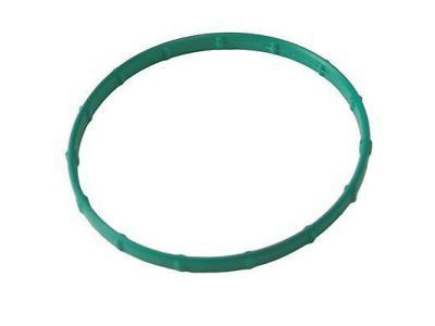 Throttle Body Gasket
