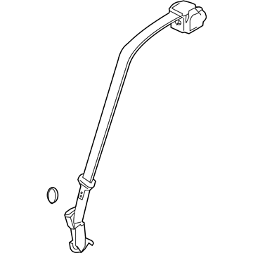 Belt And Buckle Assy