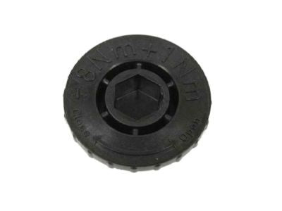 Plug Oil Drain