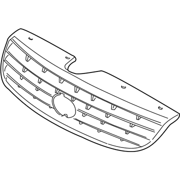 Grille, Radiator Grille