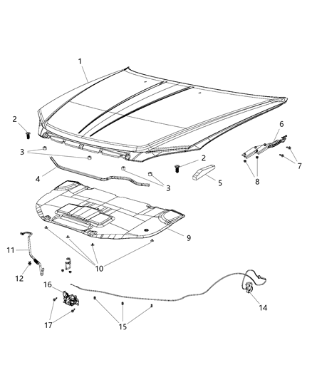 Hinge Hood Body Half