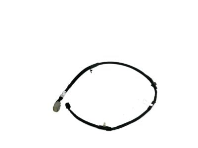 Wiring Assy - Tailgate