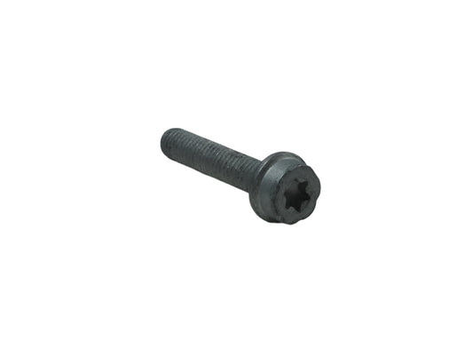 BMW Motorrad Factory Original, Torx Screw - Part # 23007681333
