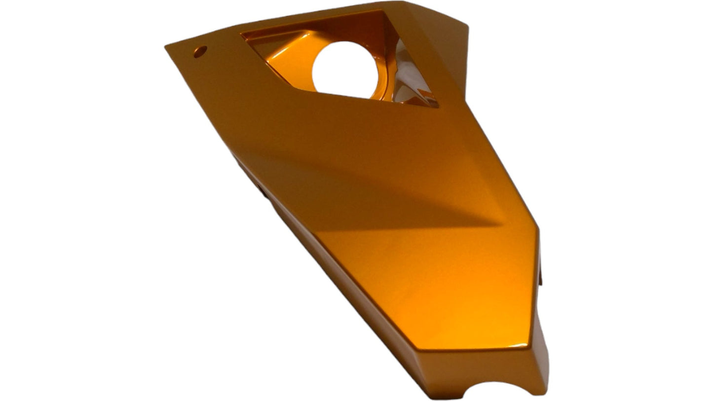 New OEM Genuine Bombardier Recreational Products, Panel_Body Ctrl R B-367 - Part # 705009615