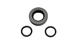 New OEM 2002-2006 Ranier, Trailblazer, Envoy Power Steering Pump Seal Kit, Part # 26112198