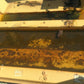 New OEM Genuine Caterpillar, Rollover A - Part # 1054651
