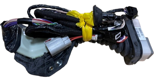 New 2009 Fits Chrysler 1500 Wiring-Front Door - Part # 56055991AC