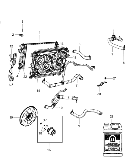 Hose Radiator Outlet