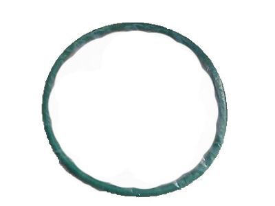 Level Sensor Gasket