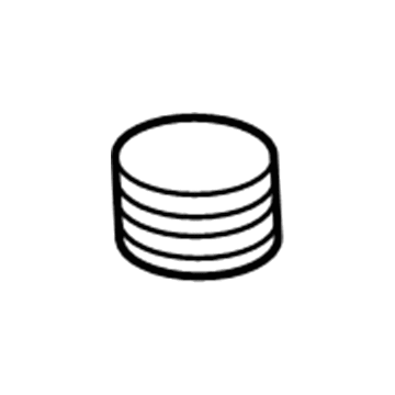 Plug, Differential Lubrication