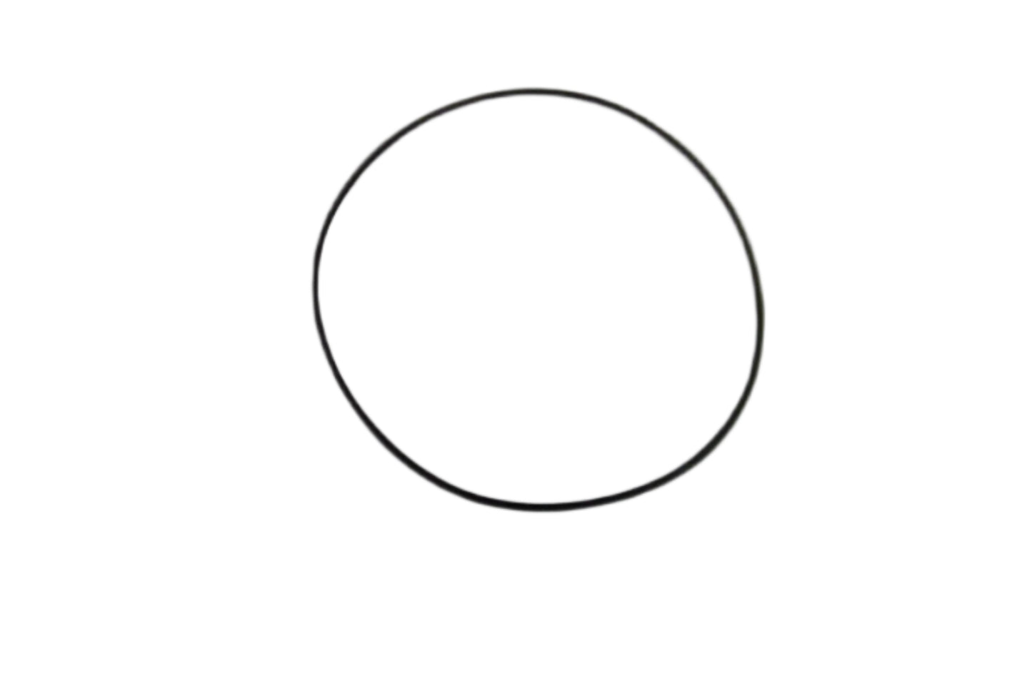 BMW Motorrad Factory Original, O-Ring - Part # 12412343253