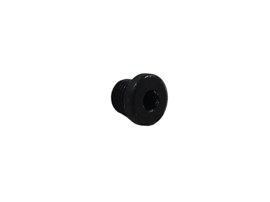BMW Motorrad Factory Original, Screw Plug - Part # 31422312163