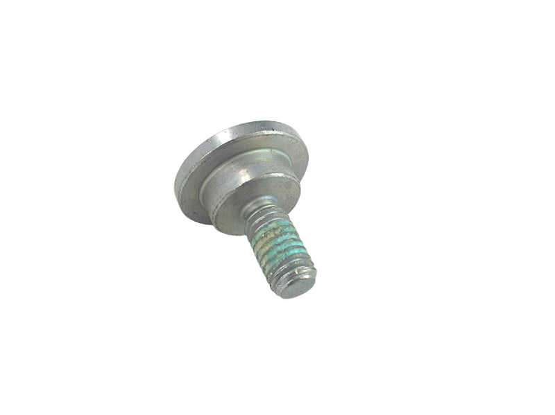 BMW Motorrad Factory Original, Collar Screw Micro-Encaps - Part # 33177719404