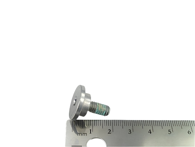 BMW Motorrad Factory Original, Collar Screw Micro-Encaps - Part # 33177719404
