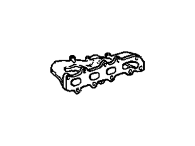 Manifold