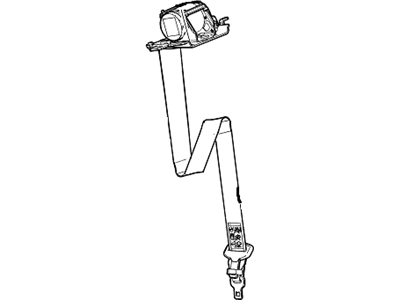 Belt Kit