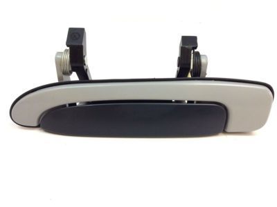 Handle Assy - Door - Outer