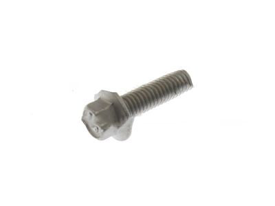 Lower Note Horn Screw