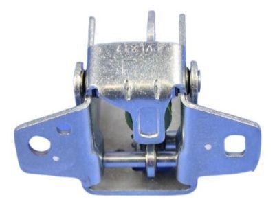 Hinge Rear Door Lower