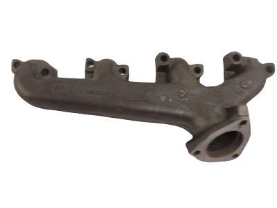 Manifold