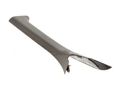 Moulding - Windshield