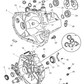 Case Transmission