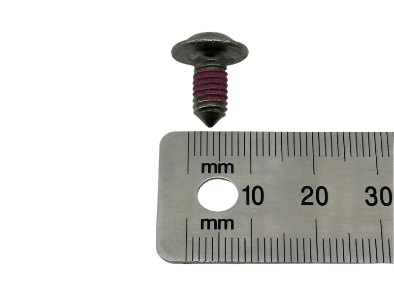 BMW Motorrad Factory Original, Oval-Head Screw With Anti- - Part # 46617655623