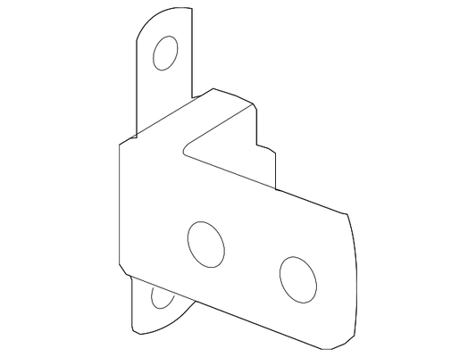 Passenger Side Door Lower Hinge